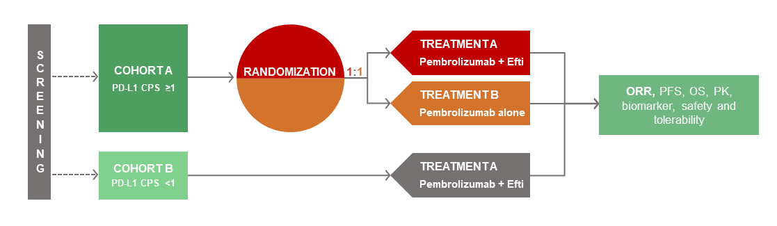 Immunotherapy Clinical Trials | Immutep